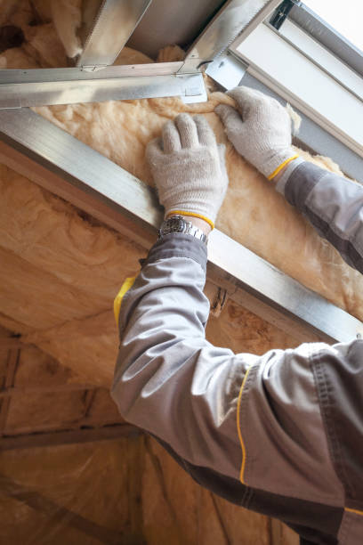 Best Local Insulation Services  in Granby, MO