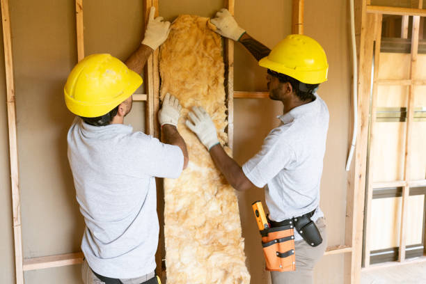 Best Insulation Replacement Services  in Granby, MO