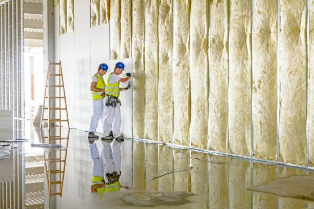 Best Insulation Contractors for Homes  in Granby, MO